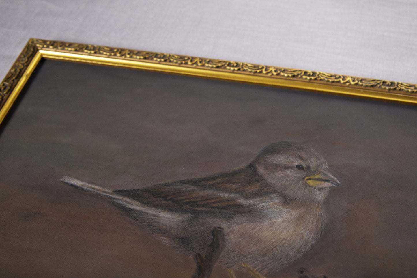 The Sparrow’s Song