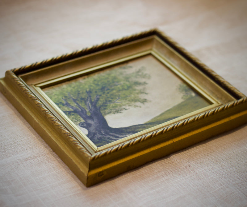 “Roots” Framed Print