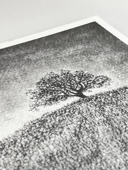 Solitude (Wholesale)