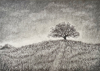 Solitude (Wholesale)