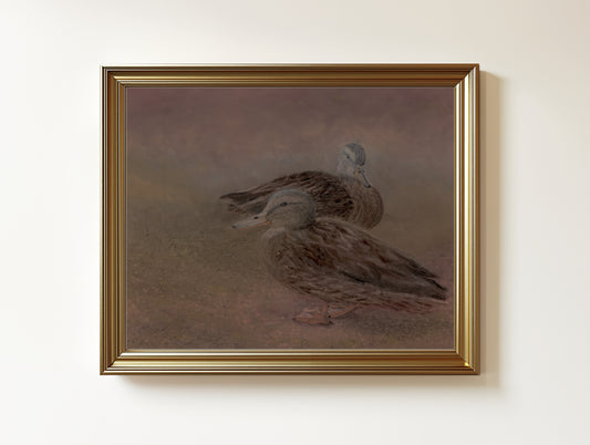 Water's Edge | Wildlife Fine Art Print