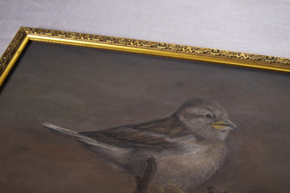 The Sparrow’s Song